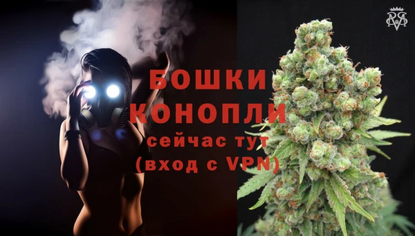 стаф Заволжье