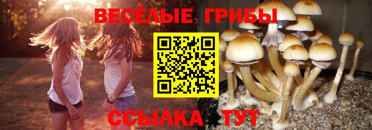 Майский  Галлюциногенные грибы GOLDEN TEACHER  Псилоцибиновые грибы Psilocybe  Вход с VPN 
