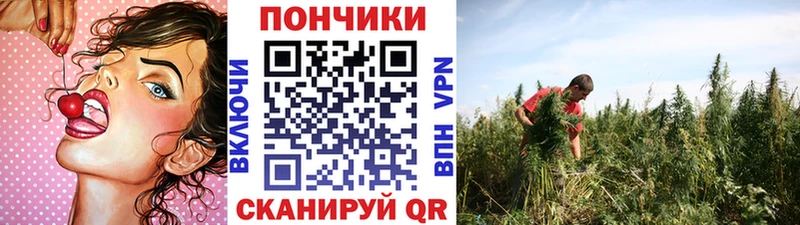 цены наркотик Майский нарко площадка формула МАРИХУАНА Bruce Banner